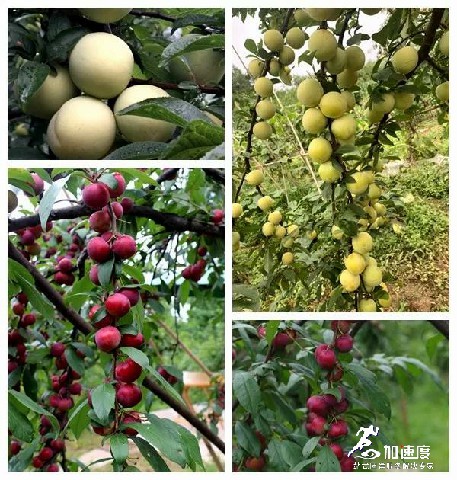 微信(xin)圖片_20190708211924.jpg