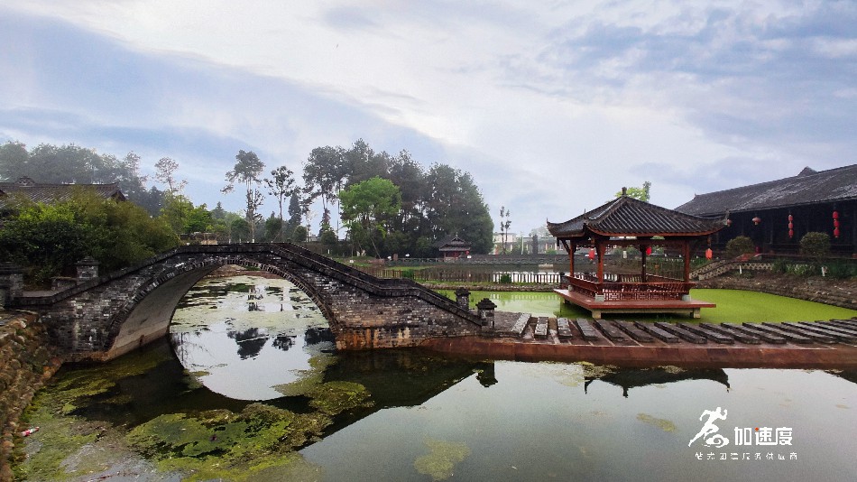 雅安(an)霧茶莊園 (4).jpg