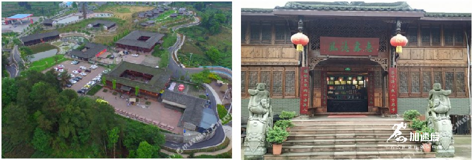 雅安(an)霧茶莊園 (3).jpg