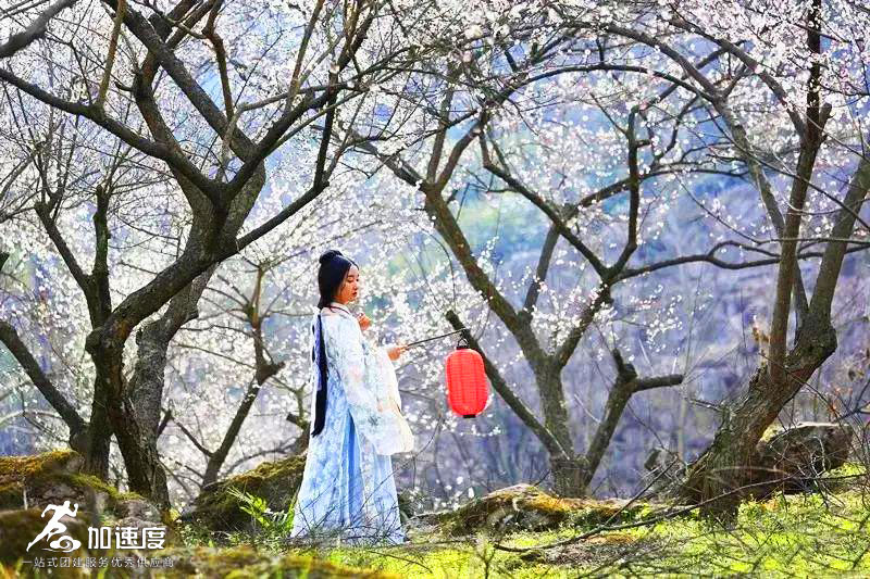 鶴鳴霧中(zhong)山(shān)賞花(huā)徒步 (3).jpg
